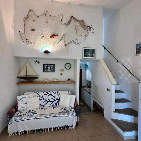 Grillo Del Faro * 팔라우